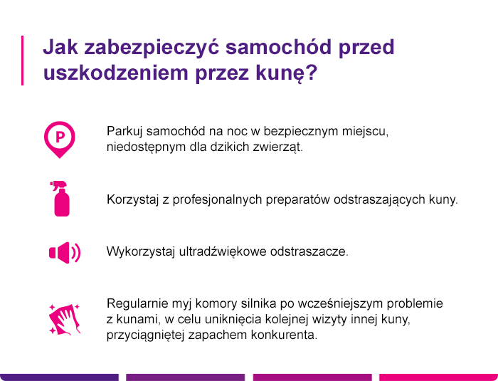 Jak zabezpieczyć samochód przed uszkodzeniem przez kunę - Link4.pl