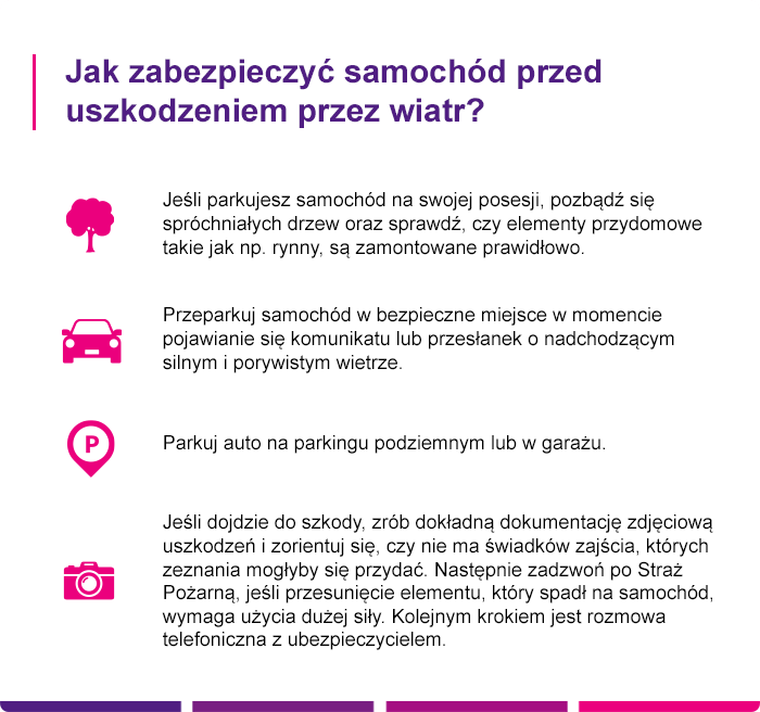 Jak zabezpieczyć samochód przed uszkodzeniem przez kunę - Link4.pl