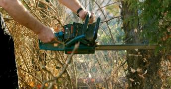 Ręce trzymające piłę w celu wycięcia drzewa