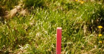 Czerwony słupek do podziału działki.